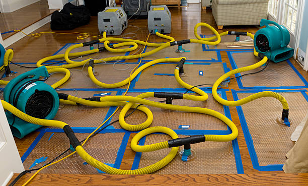 Professional Burst Pipe Water Damage technician working in Pelham, NH